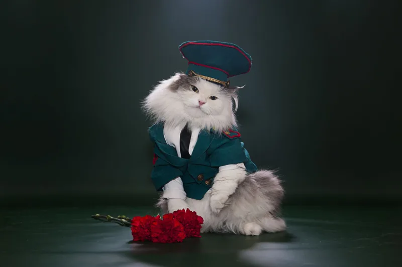 mèo sành điệu nhất Instagram 3