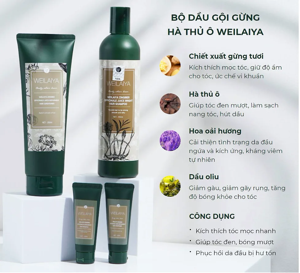 Dầu gội gừng ngăn rụng & kích mọc tóc Weilaiya Dầu gội gừng ngăn rụng & kích mọc tóc Weilaiya