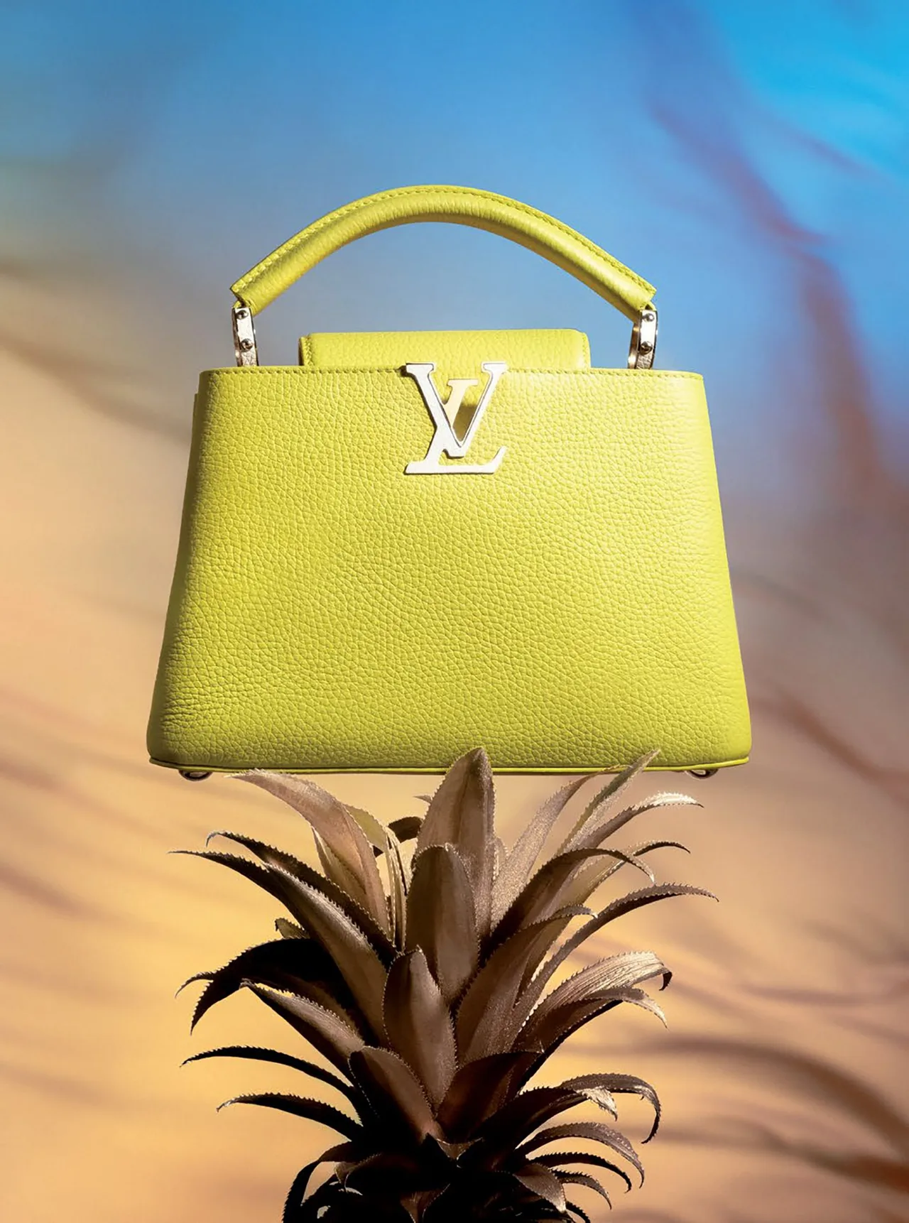 thời trang túi xách louis vuitton thời trang túi xách louis vuitton
