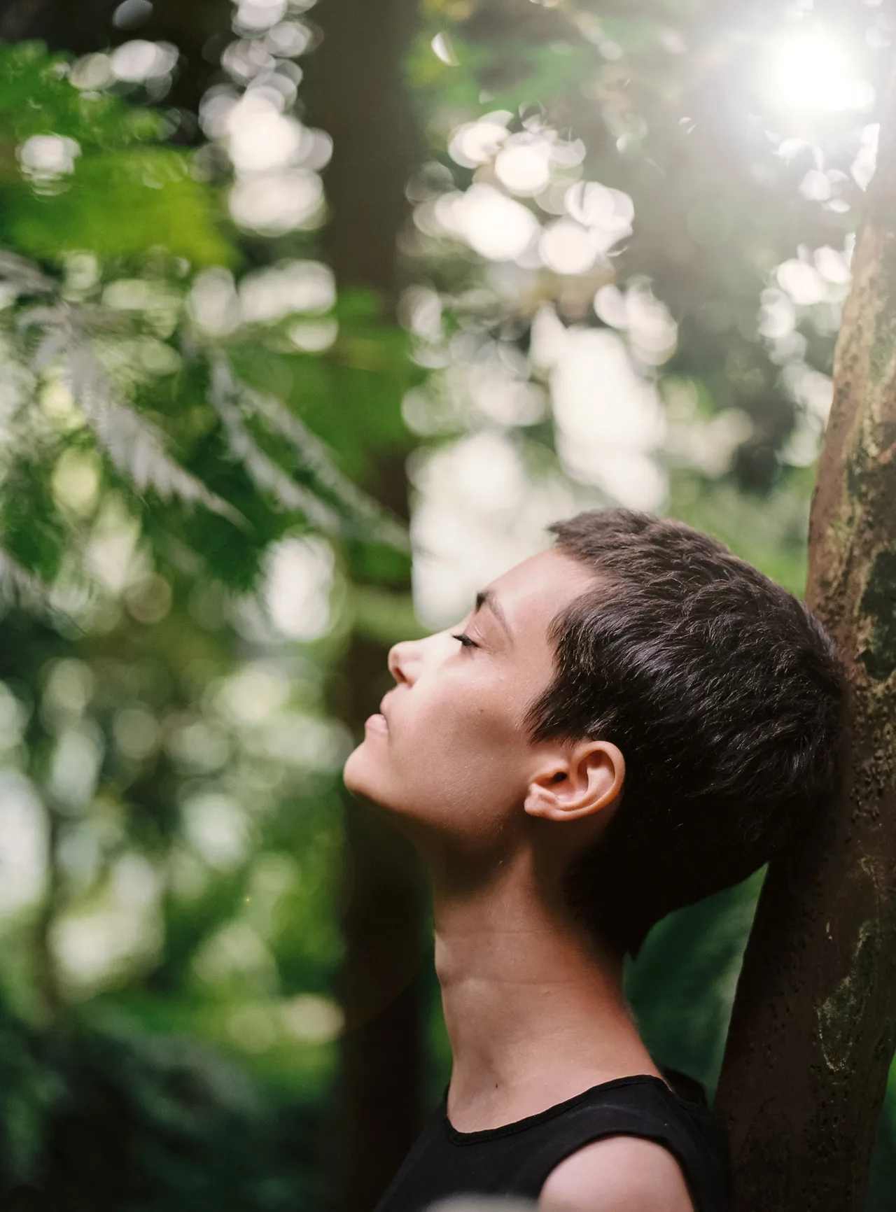 cô gái dưới bóng cây