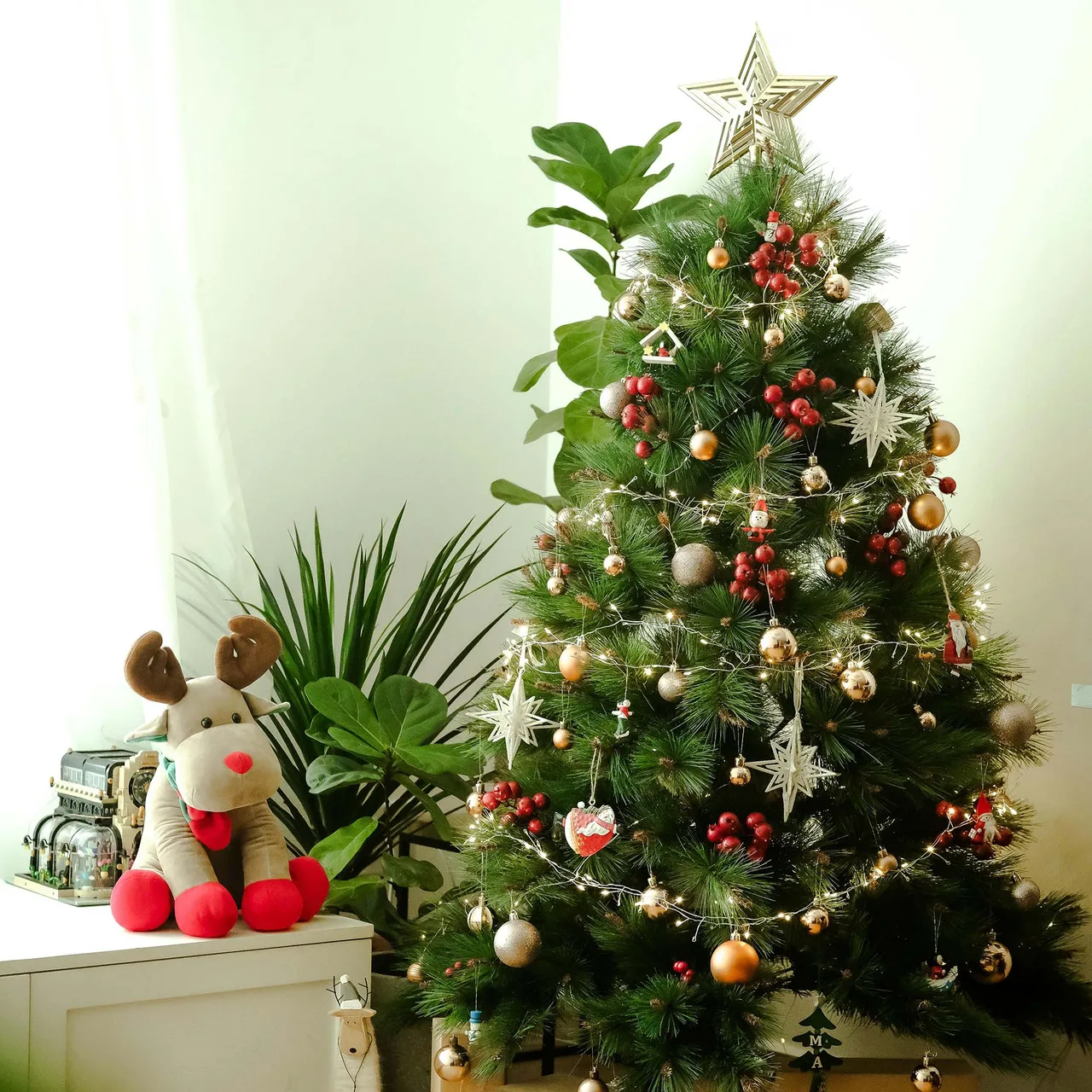cây thông noel trang trí nhà