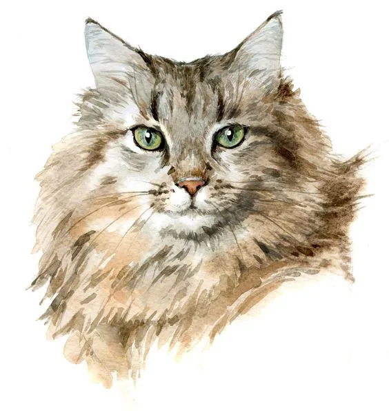 mão