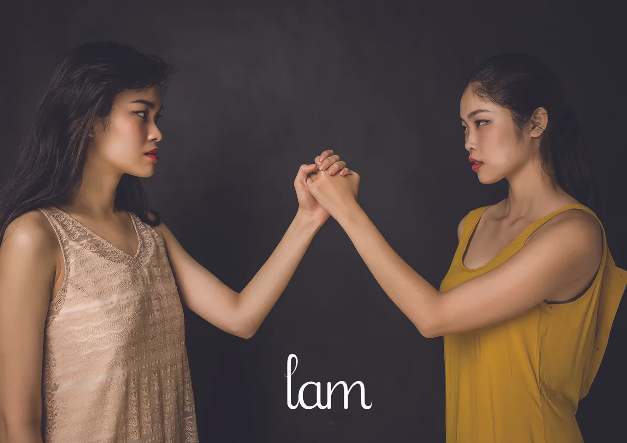 Chiếu Hoa Tứ sắc Collection 01
