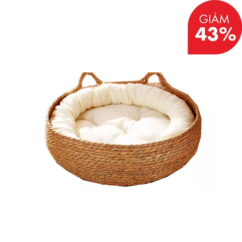 _ELLE Quỳnh Giang - ẢNH GẮN AFF (11).png