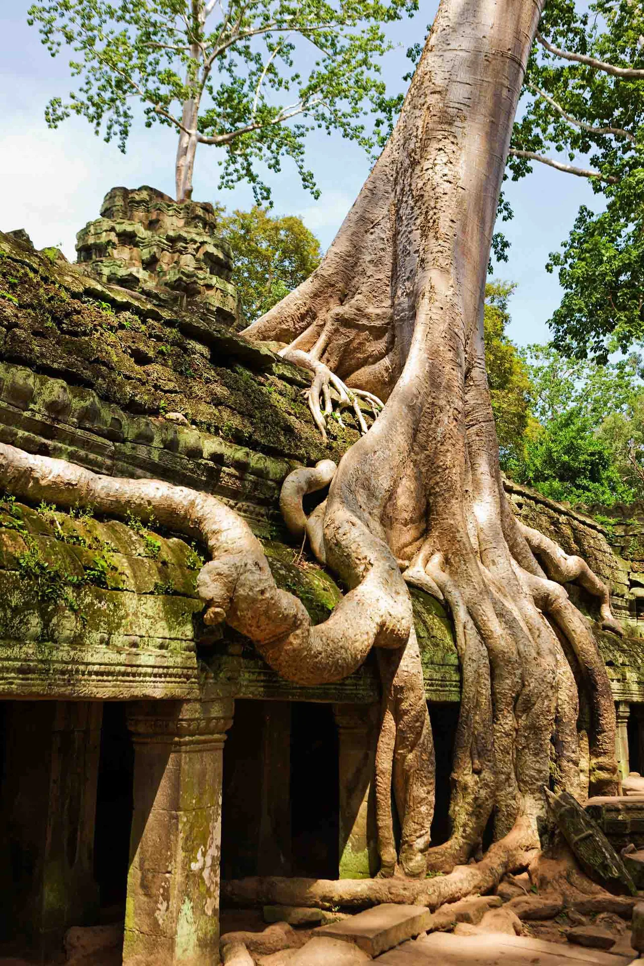 địa điểm angkorwat