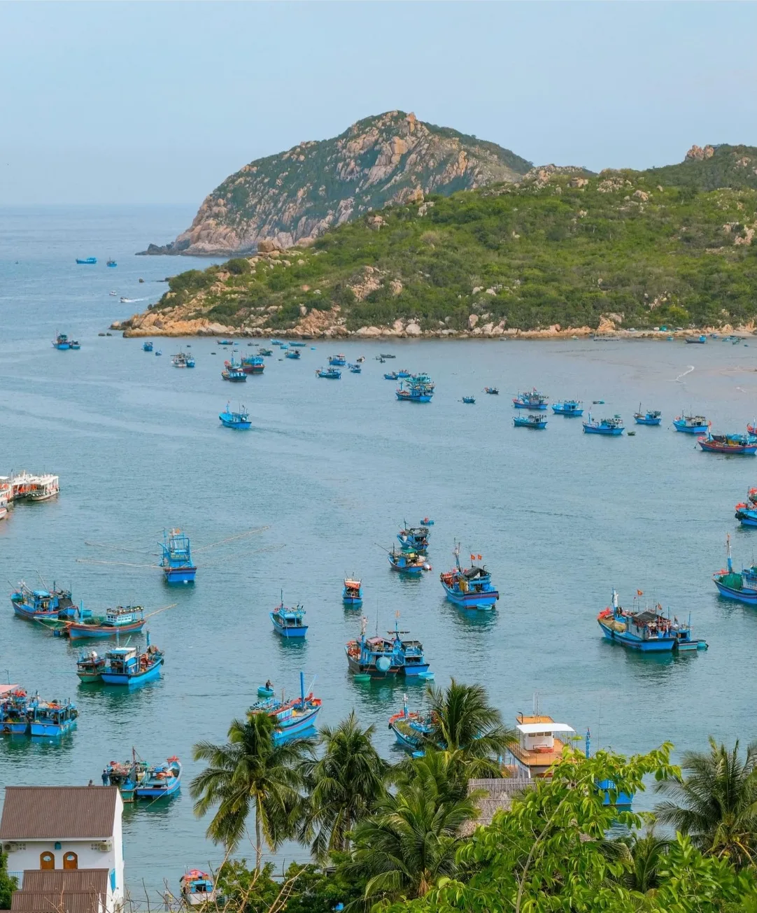 Vịnh Vĩnh Hy du lịch lễ 30/4 - 1/5