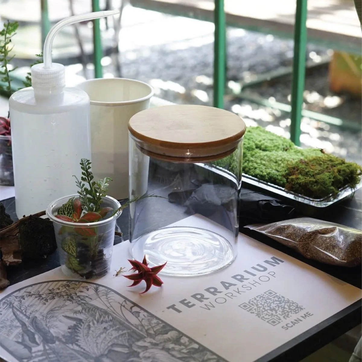 workshop làm terrarium