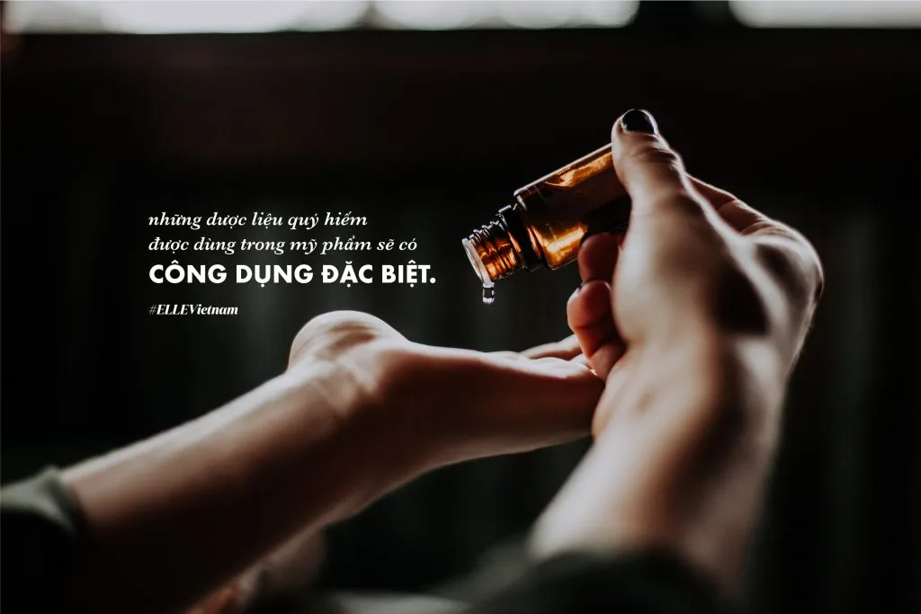 mỹ phẩm cao cấp đầu tư có xứng đáng 7 mỹ phẩm cao cấp đầu tư có xứng đáng 7