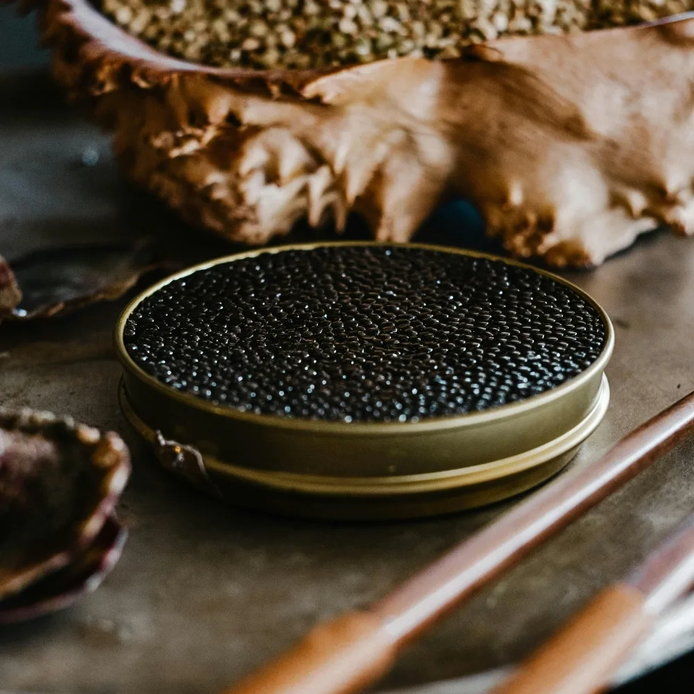 Hộp caviar