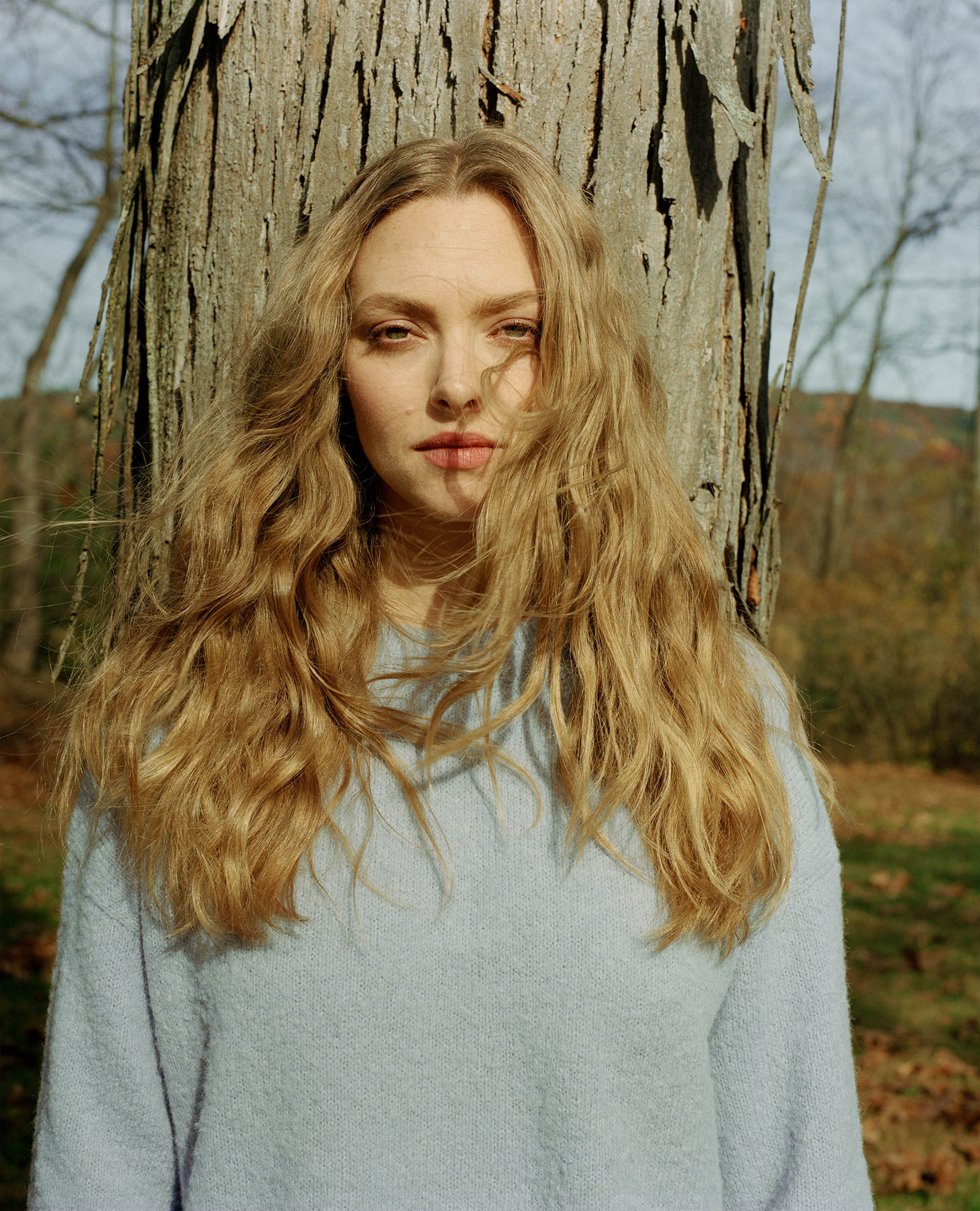 sản phẩm yêu thích của nữ diễn viên Amanda seyfired sản phẩm yêu thích của nữ diễn viên Amanda seyfired