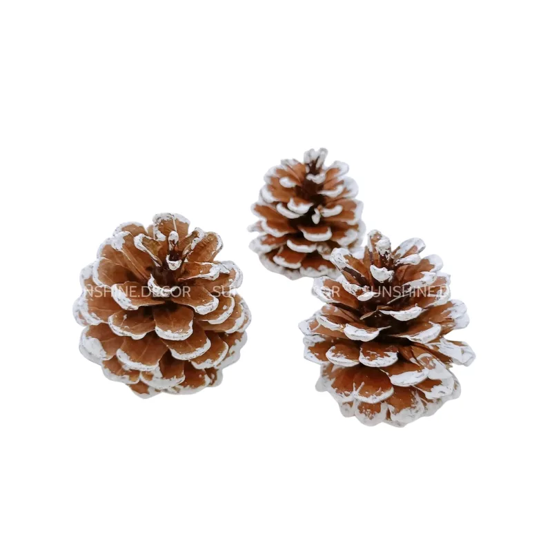 _ELLE Quỳnh Giang - ẢNH GẮN AFF (41).png
