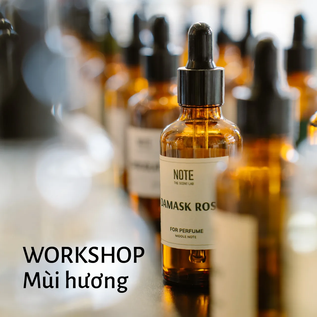 Workshop mùi hương NOTE
