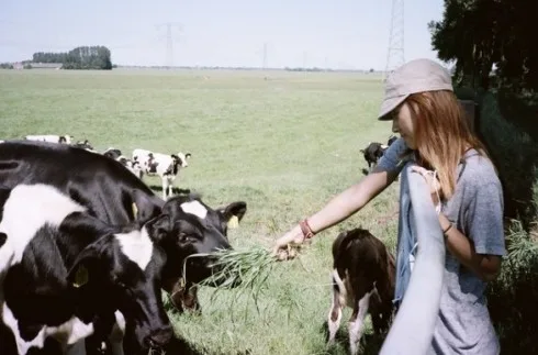 lee-hyori-news2