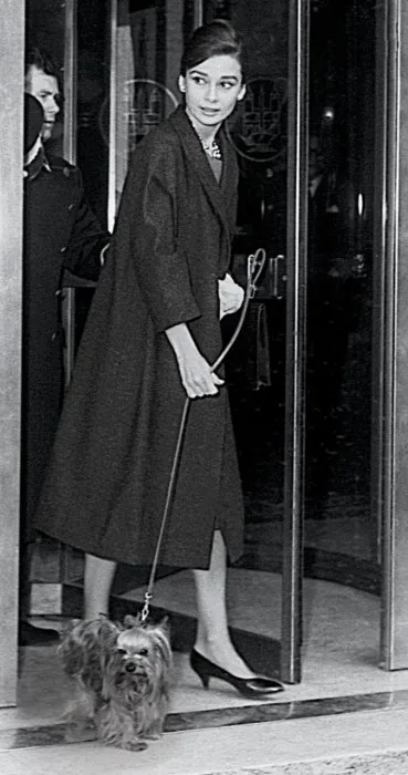 audrey 6