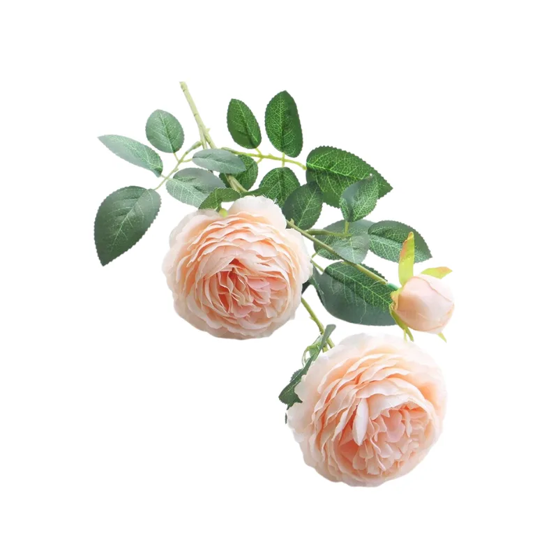 _ELLE Quỳnh Giang - ẢNH GẮN AFF (40).png