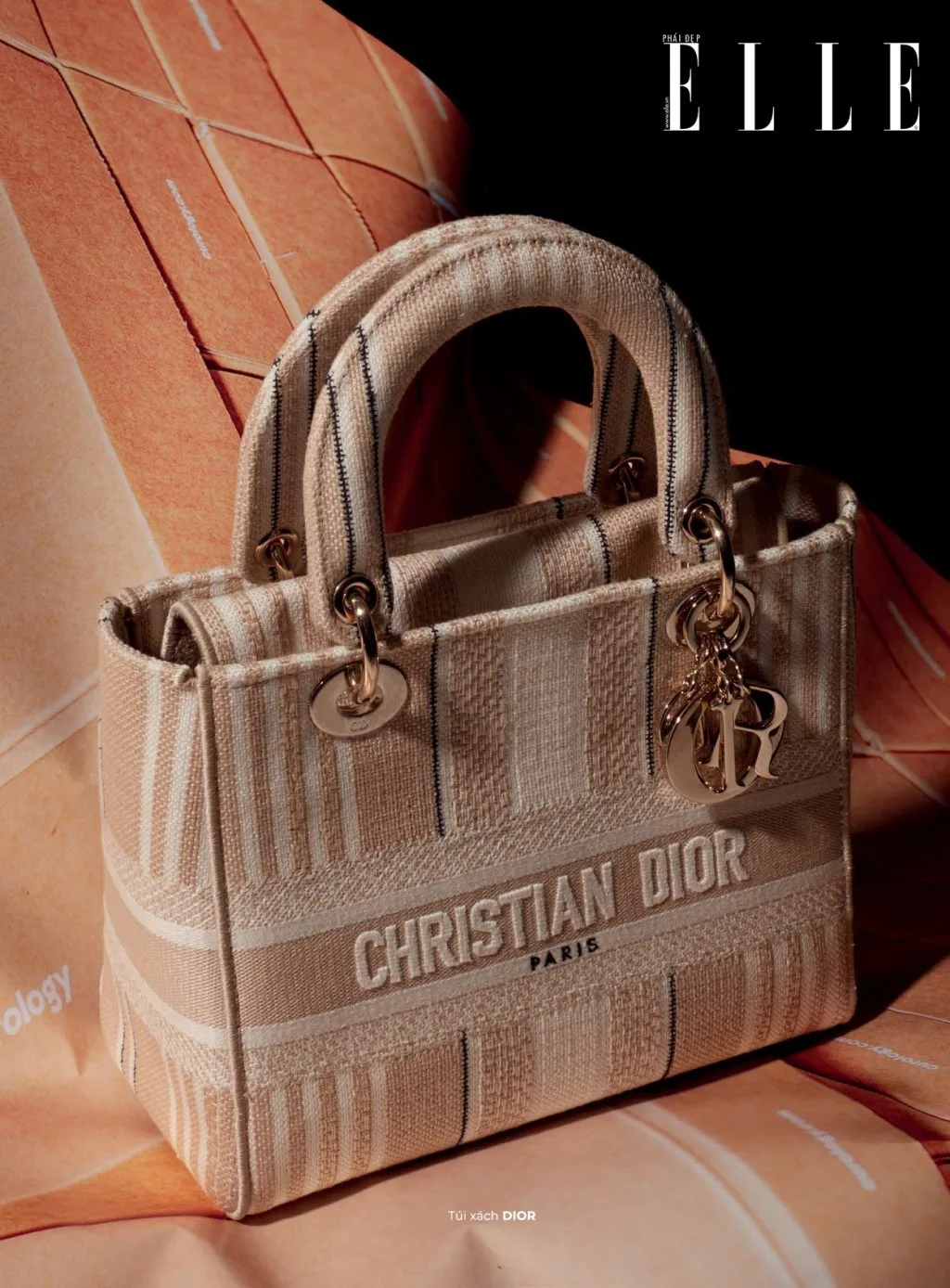 túi xách Lady Dior túi xách Lady Dior