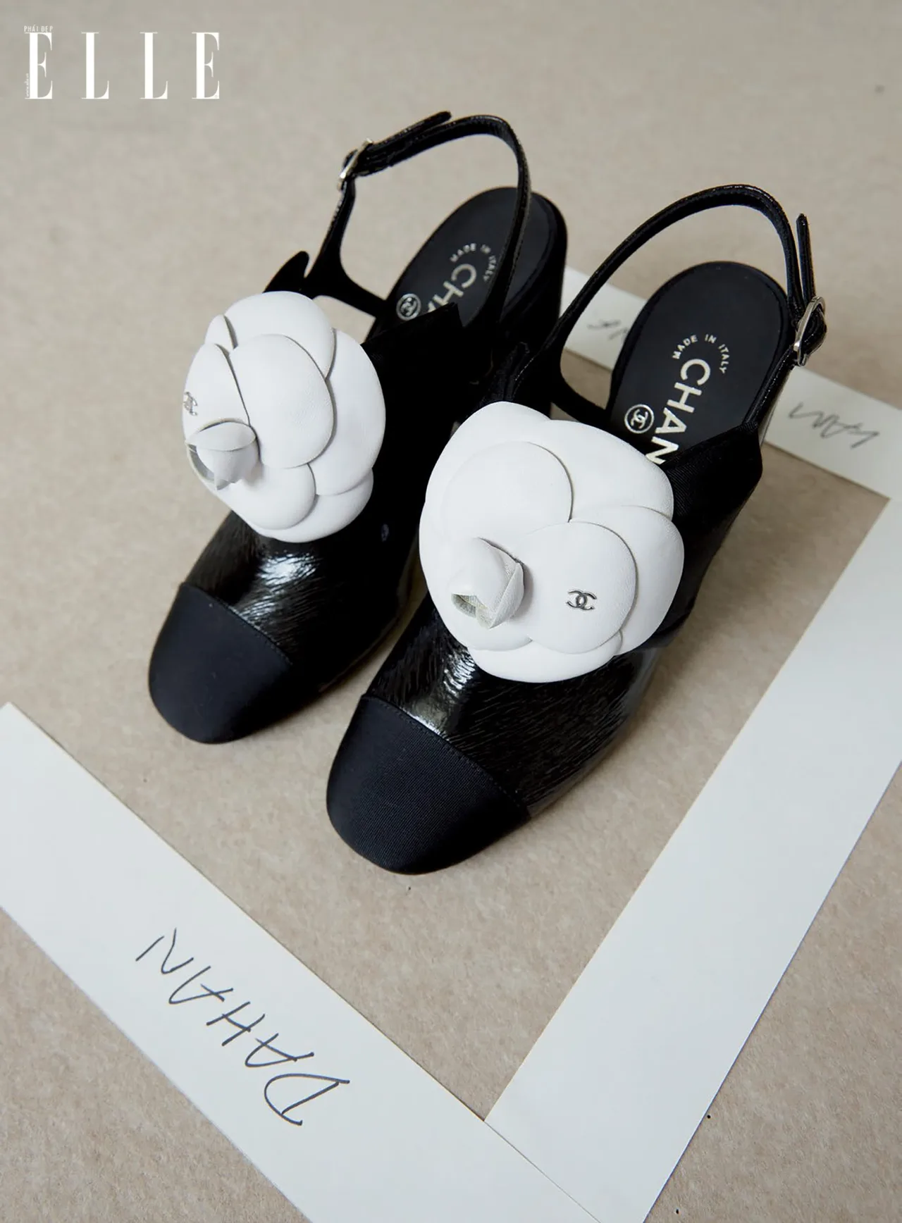 thời trang giày hoa trà chanel thời trang giày hoa trà chanel
