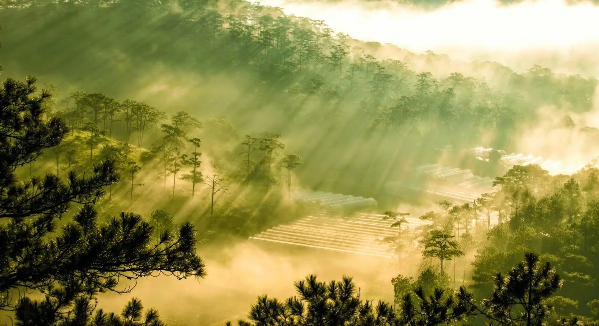 du lịch đà lạt