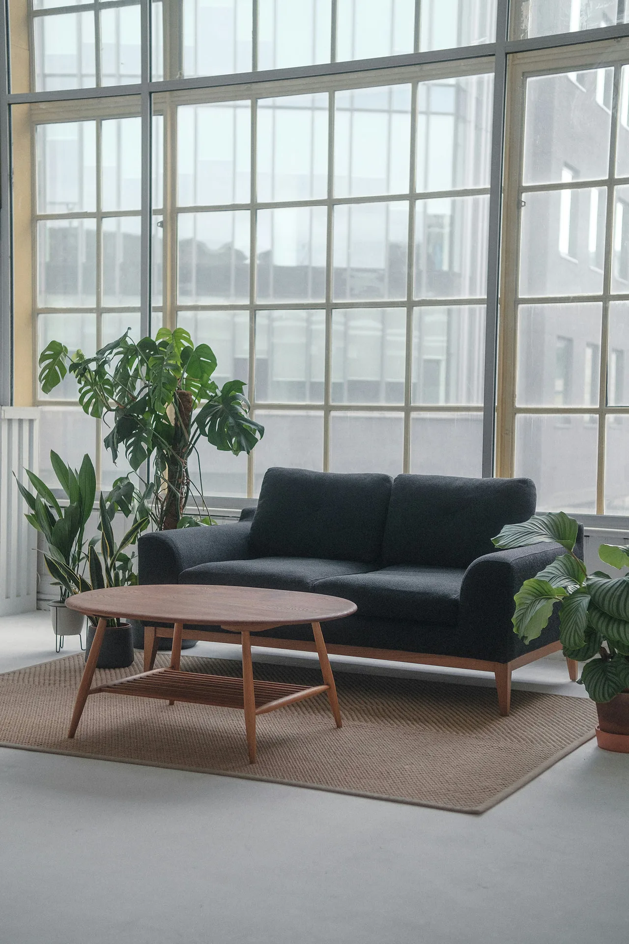 cây xanh và sofa