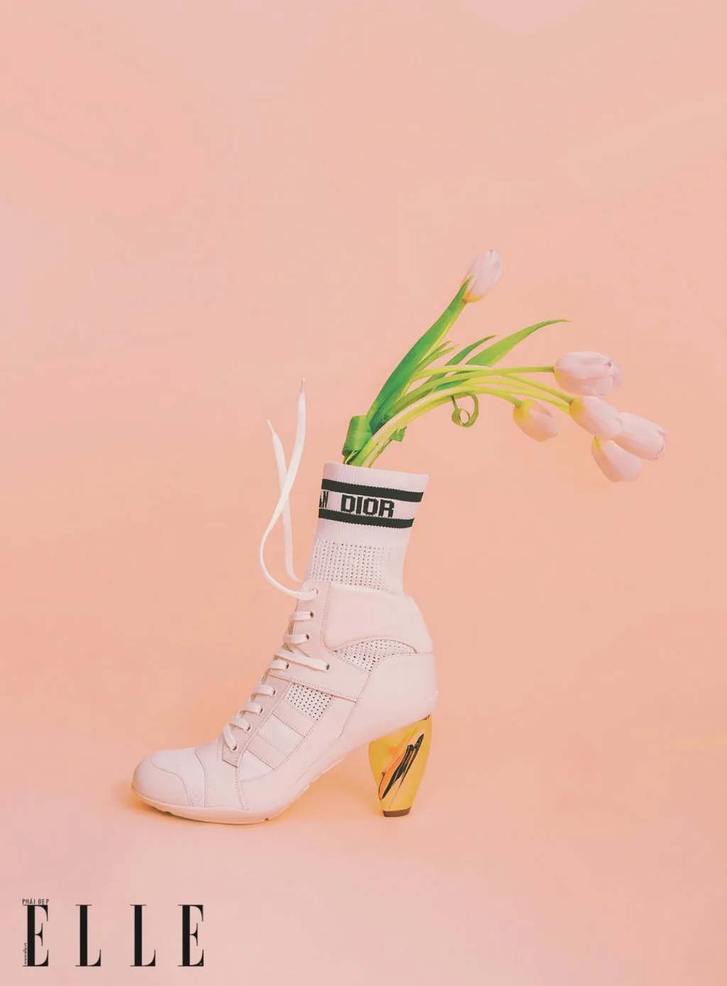 phụ kiện bốt cao cổ Dior phụ kiện bốt cao cổ Dior