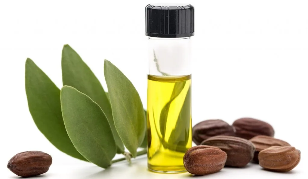 ootymade dầu jojoba 9 ootymade dầu jojoba 9