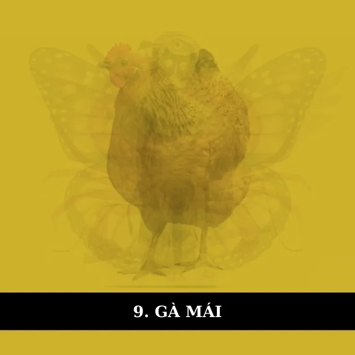 kết quả trắc nghiệm tính cách gà mái