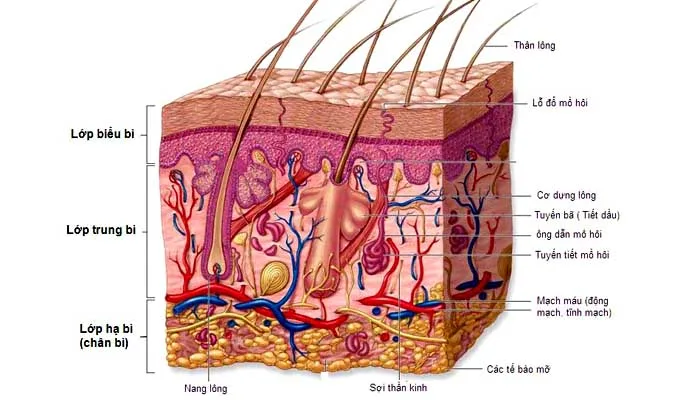 Viết cho làn da bị mụn: Bạn đang được hưởng một đặc ân cực kỳ lớn Viết cho làn da bị mụn: Bạn đang được hưởng một đặc ân cực kỳ lớn