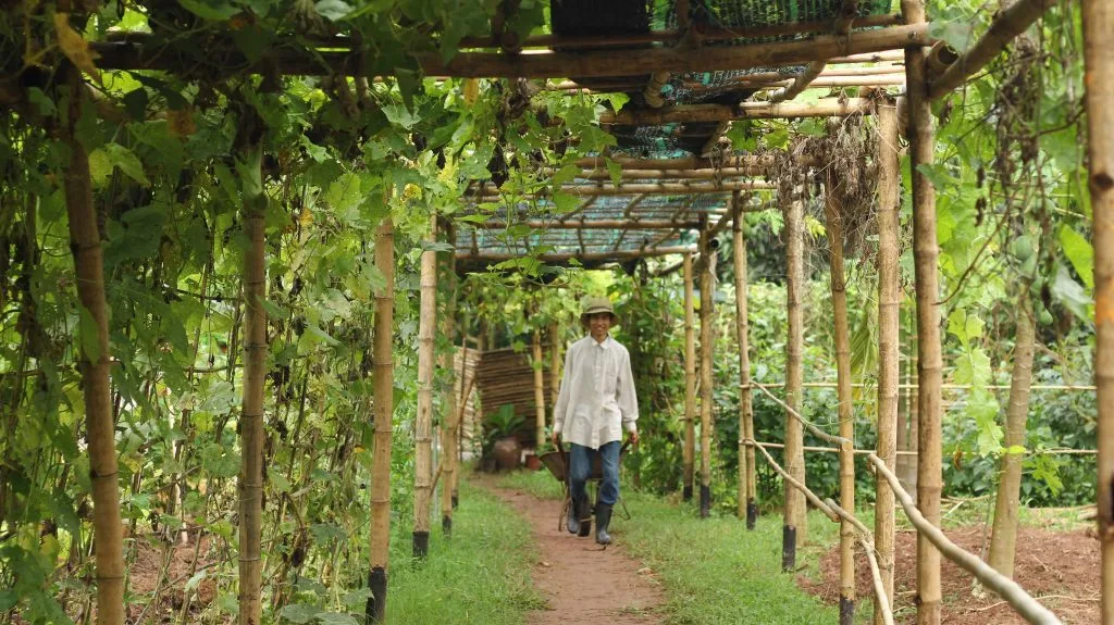 dầu gội thiên nhiên dầu gội thiên nhiên