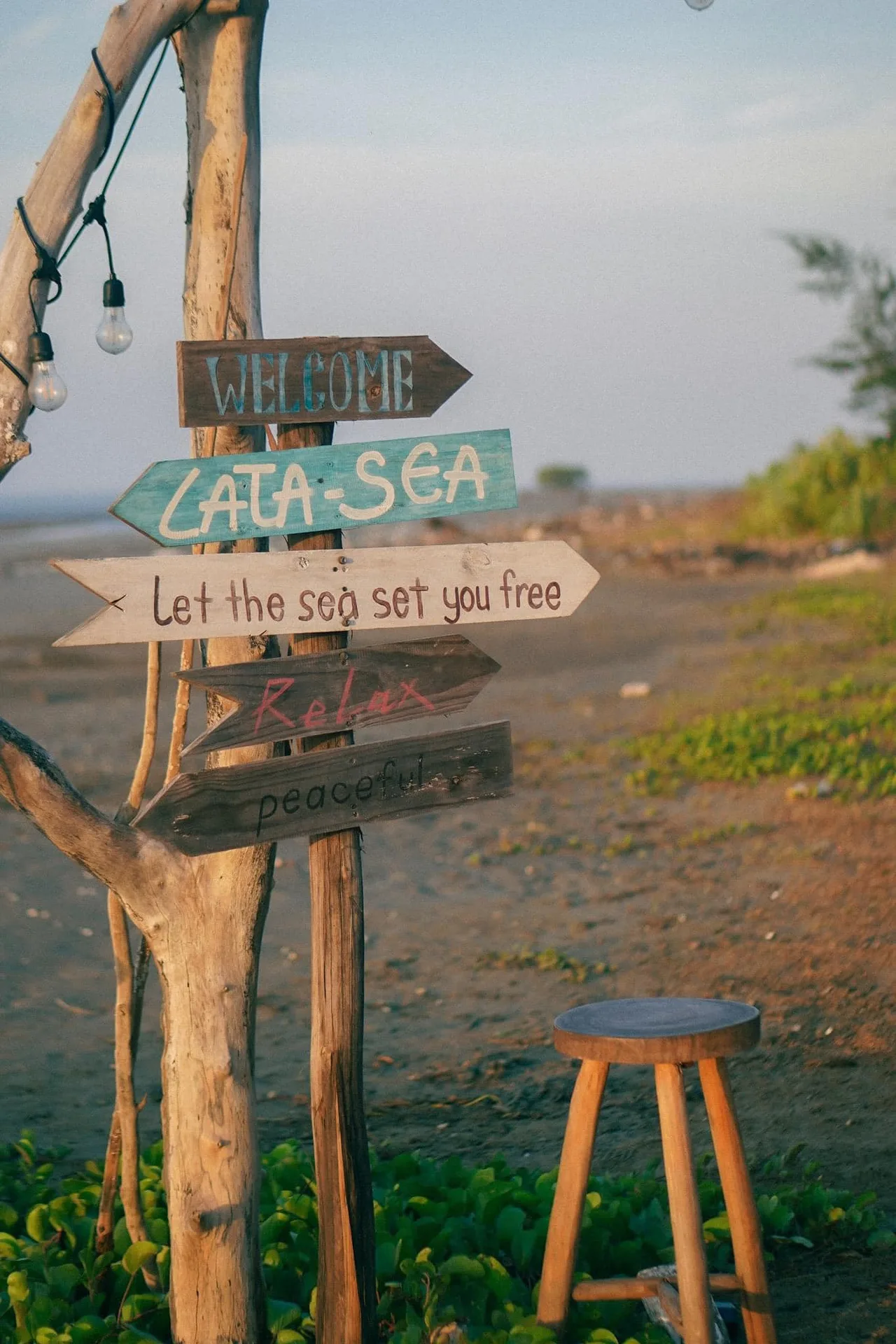 lata camping glamping tphcm