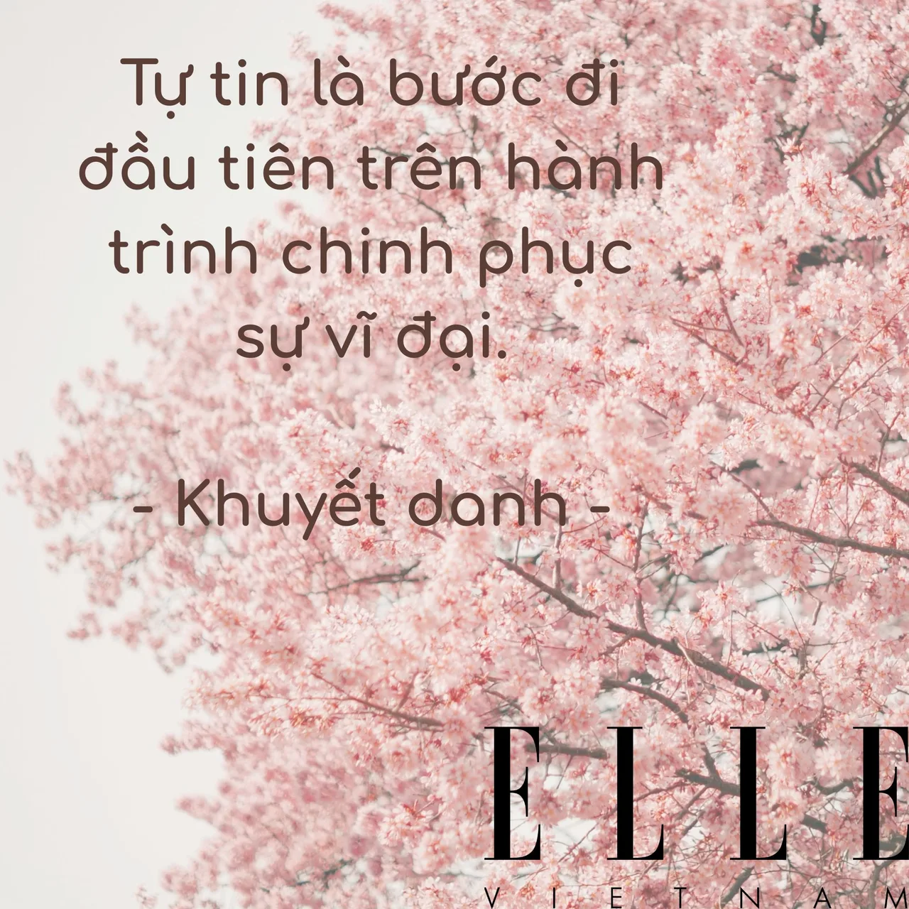 câu nói hay truyền động lực