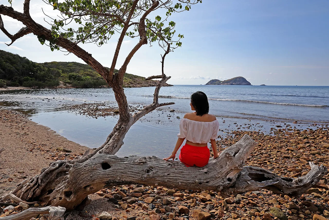 Côn Đảo cây cô đơn
