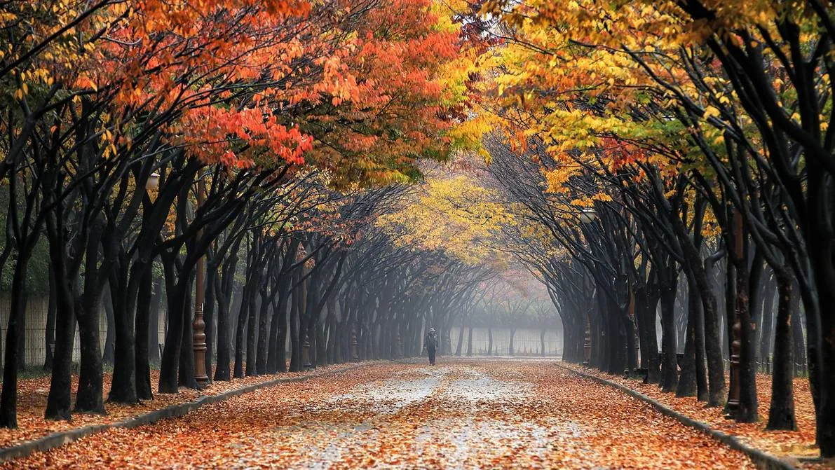 công viên lớn incheon