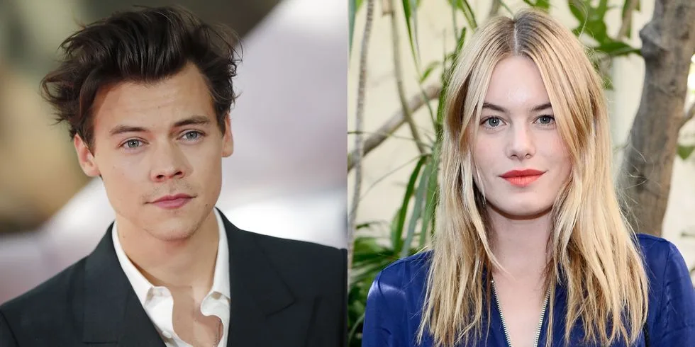 harry styles và camille rowe