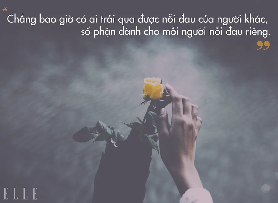 tiếng chim hót trong bụi mận gai