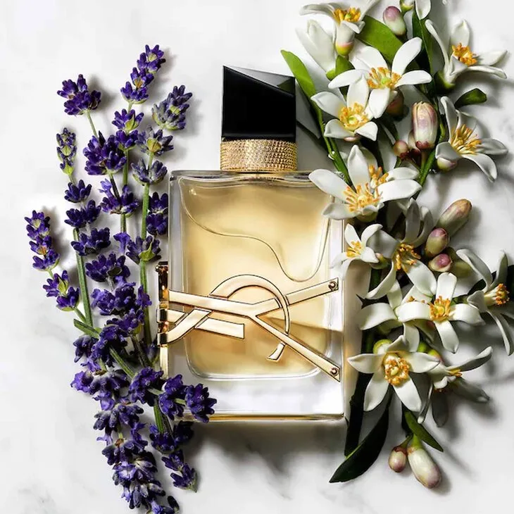 Nước hoa Yves Saint Laurent Libre. Nước hoa Yves Saint Laurent Libre.