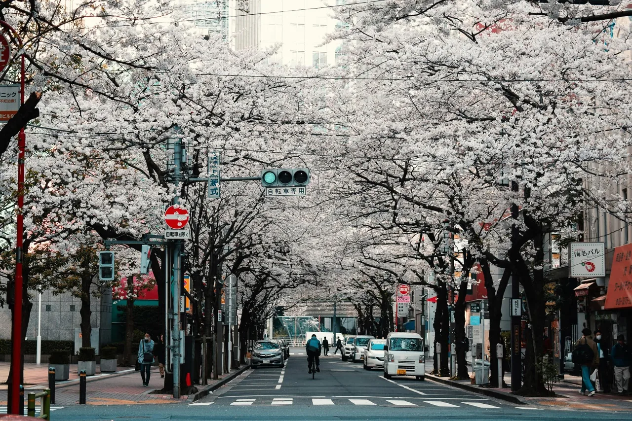 Điểm đến Tokyo (Nhật Bản) - xu hướng du lịch Bookbound phát triển trong năm 2026.