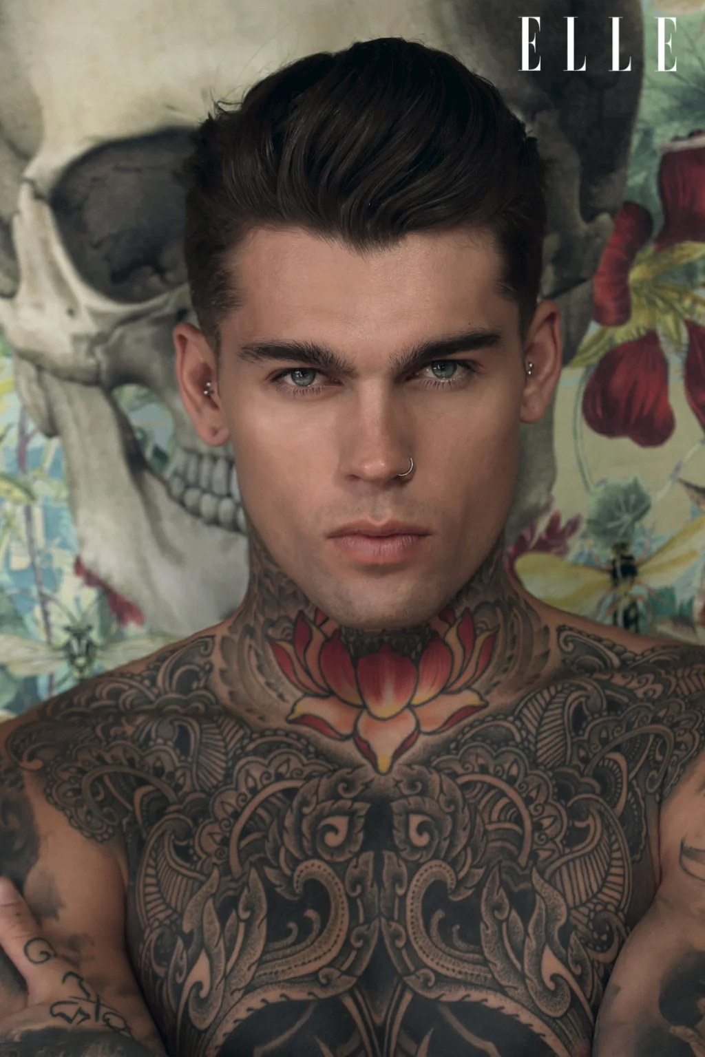 ellevn wild stephen james
