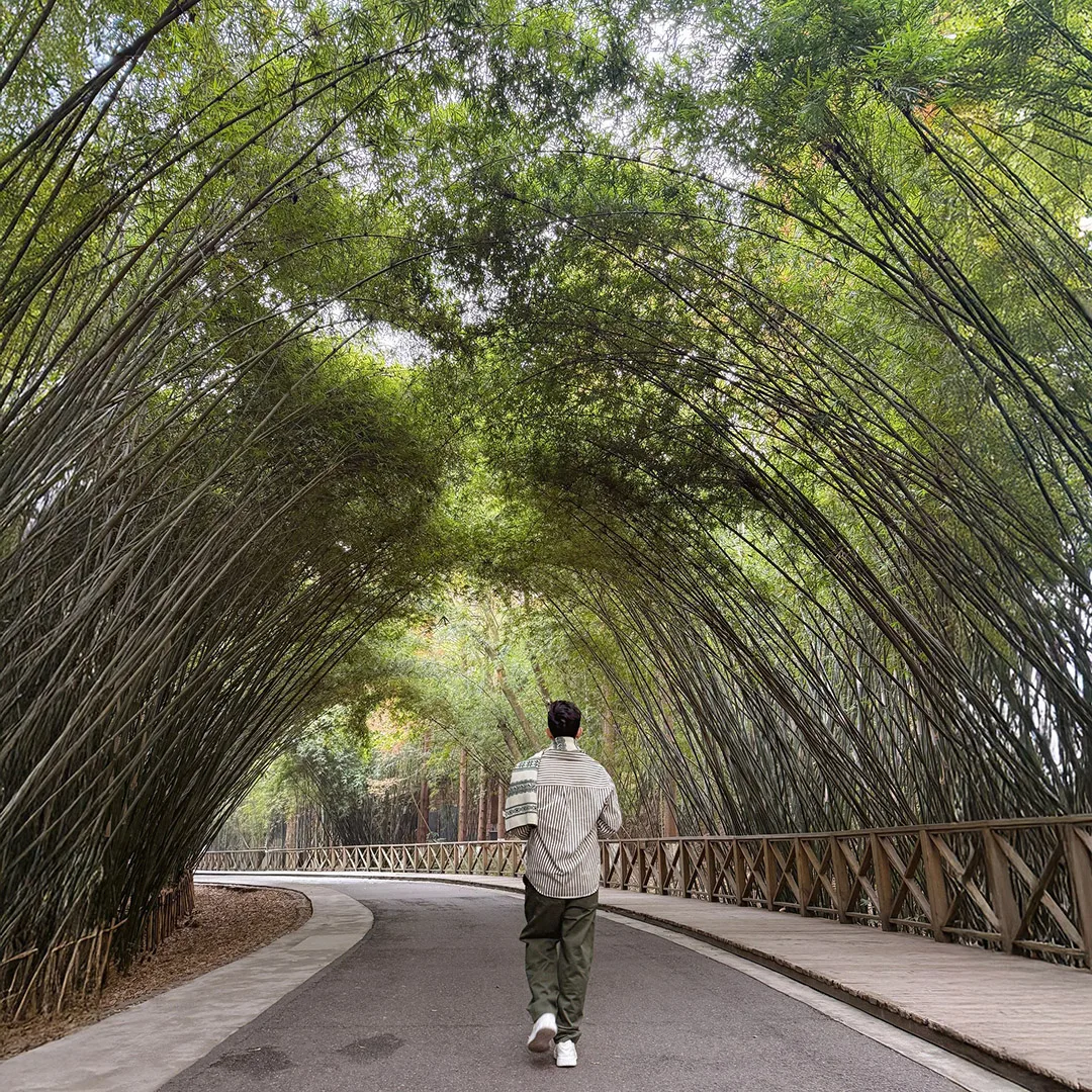 không gian ngắm gấu trúc thành đô
