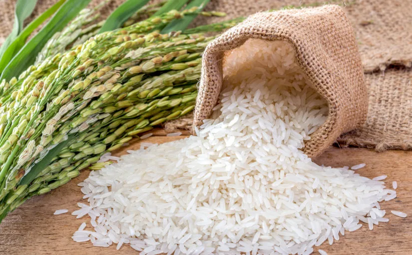 hàm lượng hữu cơ 9 hàm lượng hữu cơ 9