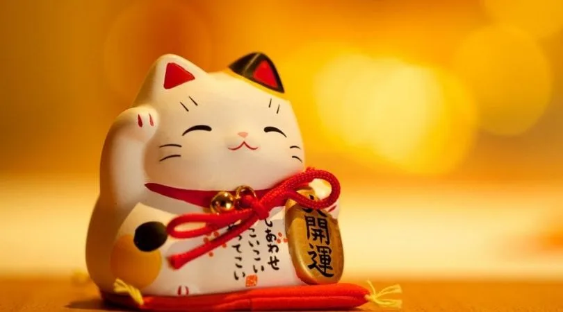 mèo may mắn