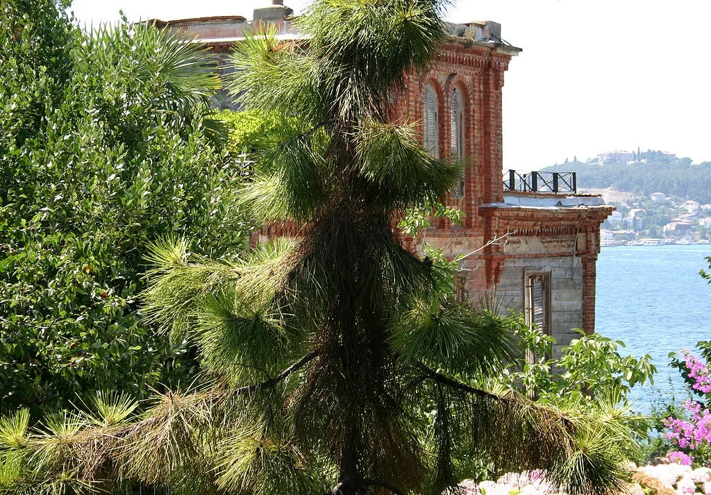du lịch Thổ Nhĩ Kỳ 17