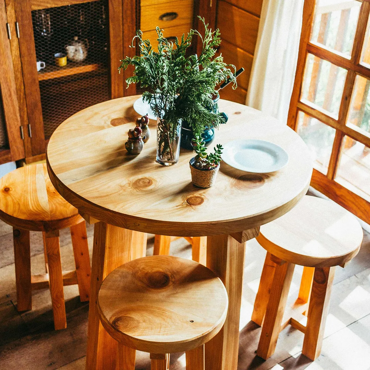 đặt chậu cây trên bàn ăn