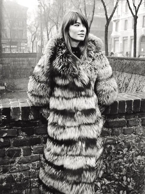 Biểu tượng thời trang đường phố thập niên 60: Francoise Hardy - ELLE.VN