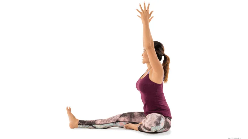 bài tập yoga gif 6 - người phụ nữ ngồi gập người bài tập yoga gif 6 - người phụ nữ ngồi gập người