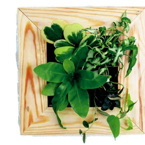 Sống cùng cây cỏ