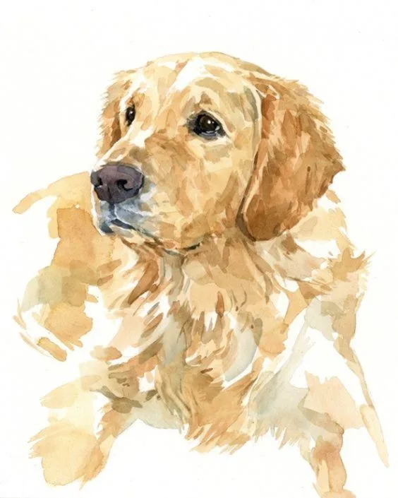 tuất