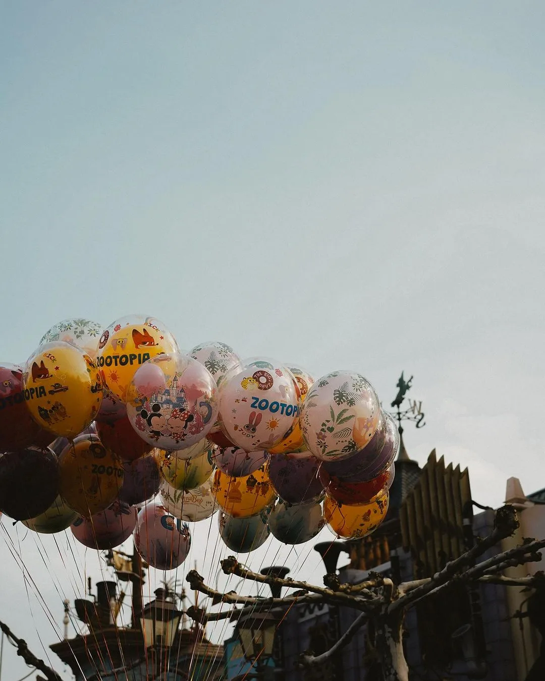 disneyland thượng hải