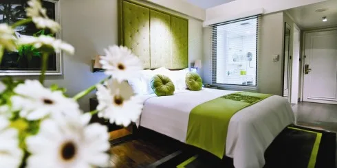 Female Business Traveler (Deluxe room) Female Business Traveler (Deluxe room)