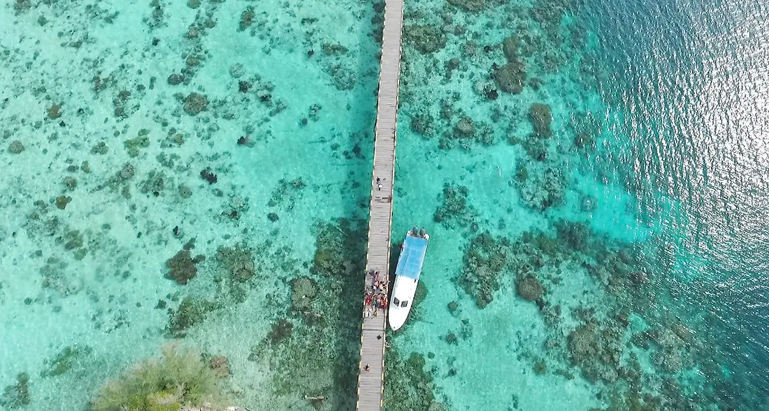Togean-_-elleman4