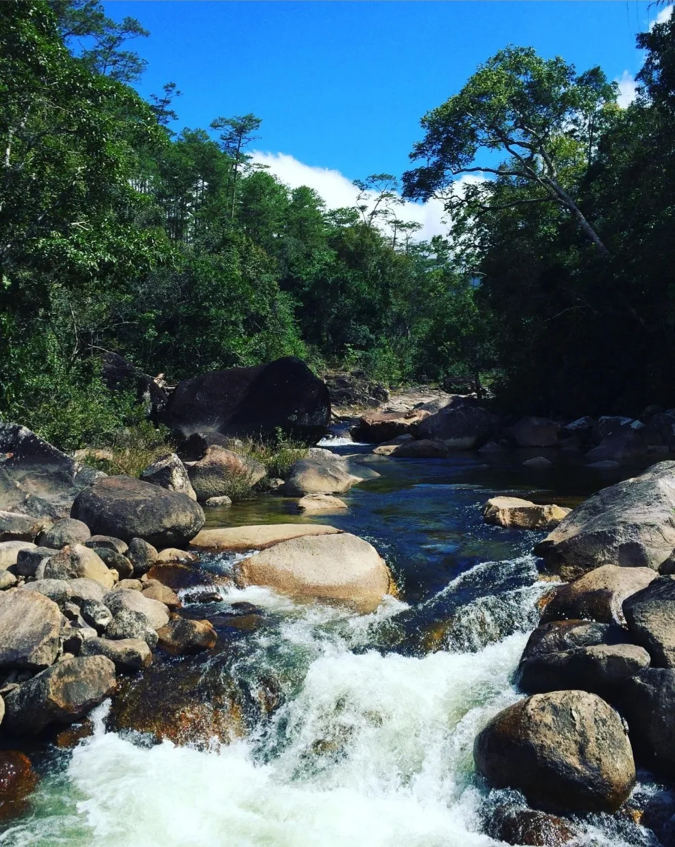 Rừng Chư Yang Sin Buôn Mê Thuột